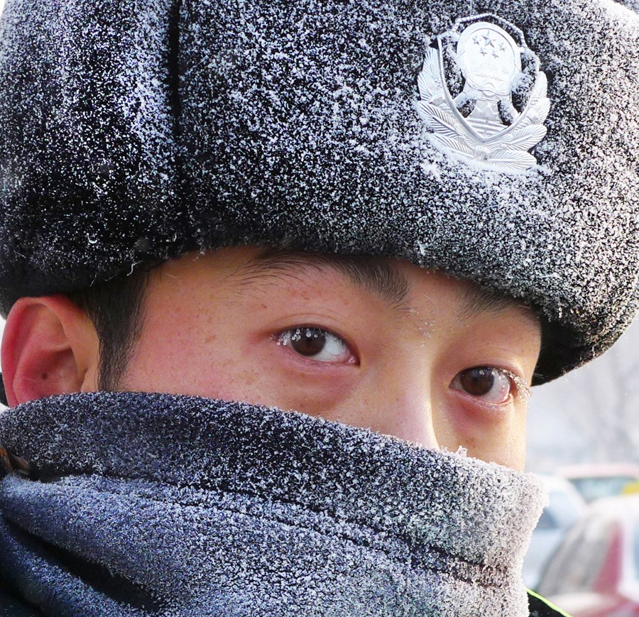 银盾下的眼晴.jpg